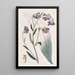 Cynoglosse à fleurs de buglosse - Sydenham Edwards — gerahmtes Bild an der Wand