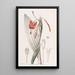 Tige raide couleur flamme - Sydenham Edwards — gerahmtes Bild an der Wand