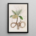 Edgeworthia dorée - Sydenham Edwards — gerahmtes Bild an der Wand
