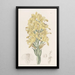 Chloraea à nervures vertes - Sydenham Edwards — gerahmtes Bild an der Wand