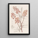 Renanthera du matin - Sydenham Edwards — gerahmtes Bild an der Wand