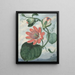Blumen der Leidenschaft - Sydenham Edwards — gerahmtes Bild an der Wand