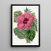 Chinesisches Hibiskus-Gemälde mit einzelner Blüte - Sydenham Edwards — gerahmtes Bild an der Wand
