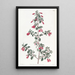 Fuchsia à petites feuilles - Sydenham Edwards — gerahmtes Bild an der Wand