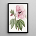Hibiscus splendide - Sydenham Edwards — gerahmtes Bild an der Wand