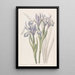 Iris doux - Sydenham Edwards — gerahmtes Bild an der Wand