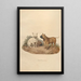 Der Bulldog - Sydenham Edwards — gerahmtes Bild an der Wand