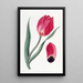 La tulipe œil de soleil précoce - Sydenham Edwards — gerahmtes Bild an der Wand