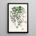 La campanule de Saint Angelo - Sydenham Edwards — gerahmtes Bild an der Wand