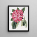 Der Rhododendron von Highclere - Sydenham Edwards — gerahmtes Bild an der Wand
