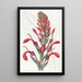 Die giftige Pflanze Tupa - Sydenham Edwards — gerahmtes Bild an der Wand