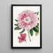 Der charmante Rhododendron - Sydenham Edwards — gerahmtes Bild an der Wand