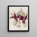 Stanhopea mit gefleckten Blüten - Sydenham Edwards — gerahmtes Bild an der Wand