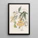 Bignonia de Tweedie - Sydenham Edwards — gerahmtes Bild an der Wand