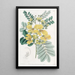 Cassia à deux fleurs - Sydenham Edwards — gerahmtes Bild an der Wand