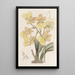 Oncidium à deux verrues - Sydenham Edwards — gerahmtes Bild an der Wand
