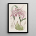 Épidendrum verruqueux - Sydenham Edwards — gerahmtes Bild an der Wand
