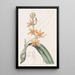 Yolkofegg Epidendrum - Sydenham Edwards — gerahmtes Bild an der Wand