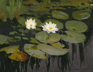 Seerosenteich - Teodor Ziomek — Ansicht des Kunstwerks