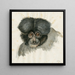 Affe-Kopf - Floris Verster — gerahmtes Bild an der Wand