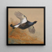 Tétras en vol - Archibald Thorburn — gerahmtes Bild an der Wand