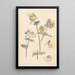 Blumenstudien - Theo Nieuwenhuis — gerahmtes Bild an der Wand