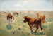 Kühe auf der Weide - Theodor Philipsen — Ansicht des Kunstwerks