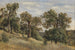 Flanken des Berges mit Baum - Theodor von Hermann — Ansicht des Kunstwerks