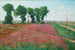 Der große Espartette-Feld in Znaim IV - Theodor von Hermann — Ansicht des Kunstwerks