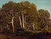 Die großen Eichen des alten BasBrau - Théodore Rousseau — Ansicht des Kunstwerks