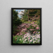 Rhododendron rosa und weiß in einem Wald - Thomas Allen Jr — gerahmtes Bild an der Wand