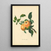 Wald Styre - Thomas Andrew Knight — gerahmtes Bild an der Wand