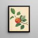 Orange Pippin - Thomas Andrew Knight — gerahmtes Bild an der Wand