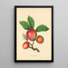 Woodcock - Thomas Andrew Knight — gerahmtes Bild an der Wand