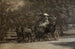 Le Quatre-en-main de Fairman Rogers, un Matin de Mai dans le Parc - Thomas Eakins — Ansicht des Kunstwerks