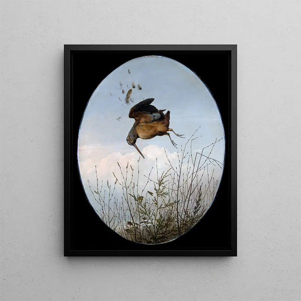 Thomas Hewes Hinckley - Woodcock.webp