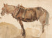 Ein Pferd im Zug gesehen aus der Nähe - Thomas Sidney Cooper — Ansicht des Kunstwerks