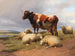 Bäuerliche und Schafe in einer Wiese in einer weiten Landschaft - Thomas Sidney Cooper — Ansicht des Kunstwerks