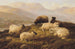 Schafe, die in einer Highland-Landschaft ruhen - Thomas Sidney Cooper — Ansicht des Kunstwerks