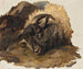 Studie eines Widderkopfs - Thomas Sidney Cooper — Ansicht des Kunstwerks