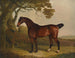 eines Gemäldes eines braunen Pferdes, das an einem Baum in einer Landschaft angebunden ist - Thomas Weaver — Ansicht des Kunstwerks