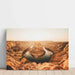 Fotodruck des amerikanischen Westens - Horseshoe Bend