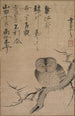 Eule - Tsuda Bensaku — Ansicht des Kunstwerks
