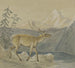 Ein verletzter Hirsch sucht Trost am Ufer eines Bergsees - Johann Erdmann Gottlieb Prestel — Ansicht des Kunstwerks