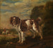 Ein Spaniel - Paulus Potter — Ansicht des Kunstwerks