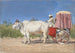 Kutschen für Delhi - Vasily Vereshchagin — Ansicht des Kunstwerks