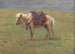 Poneys himalayens - Vasily Vereshchagin — Ansicht des Kunstwerks