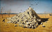 L'Apothéose der Krieg - Vasily Vereshchagin — Ansicht des Kunstwerks