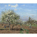 Reproduktion des Gemäldes Blumenreicher Obstgarten, Louveciennes - Camille Pissarro