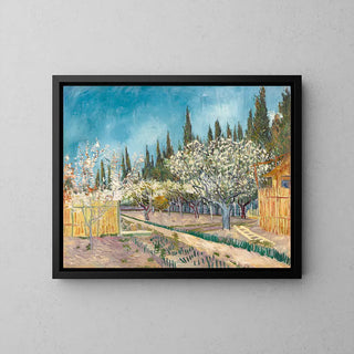 Zypressen gesäumter Obstgarten - Vincent Van Gogh